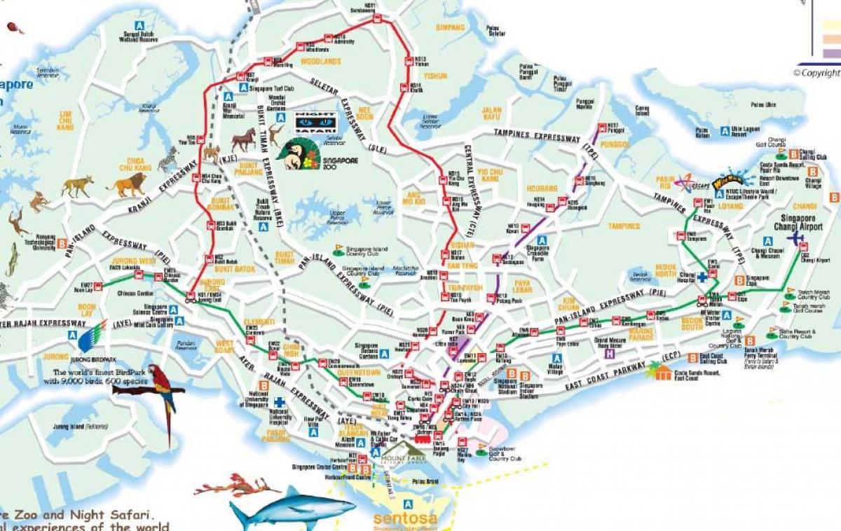 ceļu karte Singapūra